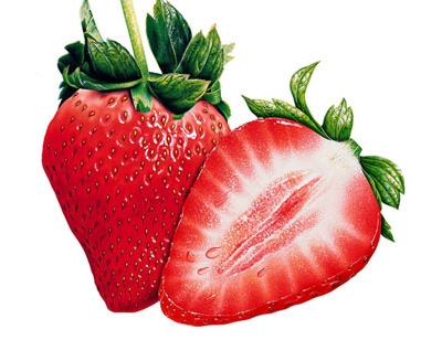 Bild 1 von Herbalife Formula 1 - Shake versch. Geschmacksrichtungen  / (Geschmacksrichtung) Erdbeere