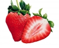 Herbalife Formula 1 - Shake versch. Geschmacksrichtungen  / (Geschmacksrichtung) Erdbeere