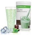 Herbalife Formula 1 - Shake versch. Geschmacksrichtungen  / (Geschmacksrichtung) Minze-Schokolade / Mint & Chocolate